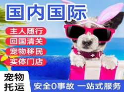 三亚凤凰空运公司国际宠物托运 【国
